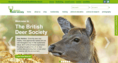 Desktop Screenshot of bds.org.uk